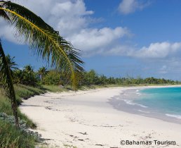 eleuthera condos to rent