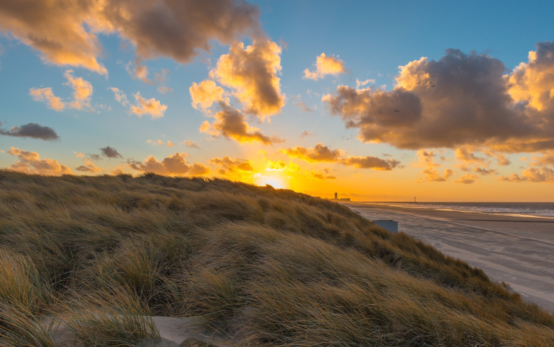 bredene beach sand dunes belgium