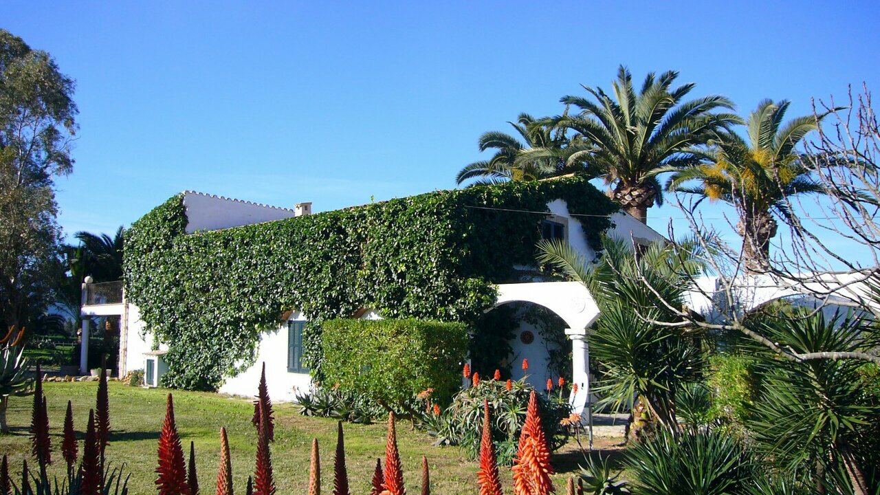 Photo of Finca in Port de Pollensa