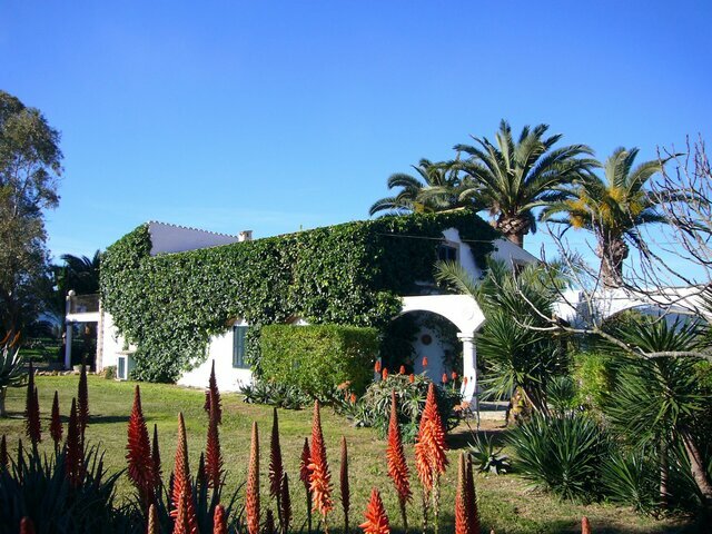 Photo of Finca in Port de Pollensa